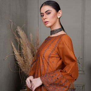 timeless classic collection